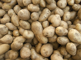 Image showing full frame potatoe background