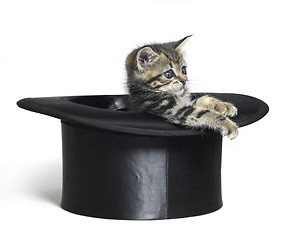 Image showing cute kitten playing in a black top hat