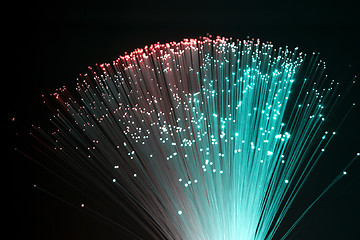 Image showing plastic optical fibers