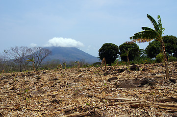 Image showing Ometepe