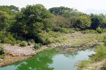 Image showing Dry season