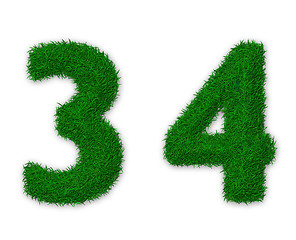 Image showing Grassy numbers