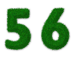 Image showing Grassy numbers