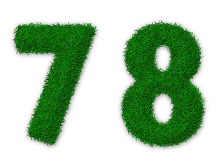 Image showing Grassy numbers