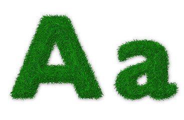 Image showing Grassy letter A