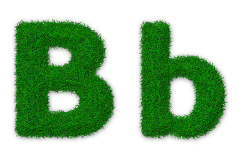 Image showing Grassy letter B