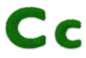 Image showing Grassy letter C