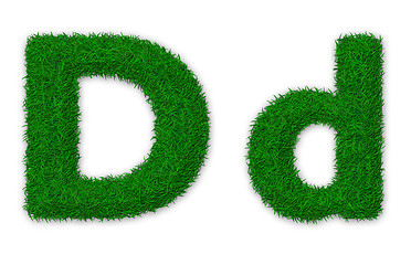 Image showing Grassy letter D