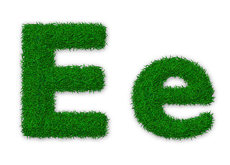 Image showing Grassy letter E