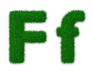 Image showing Grassy letter F