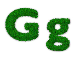 Image showing Grassy letter G