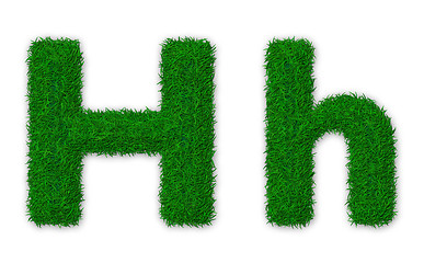 Image showing Grassy letter H