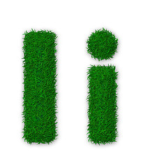 Image showing Grassy letter I