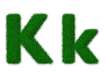 Image showing Grassy letter K