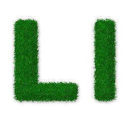 Image showing Grassy letter L