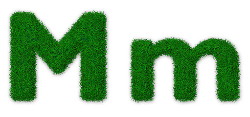 Image showing Grassy letter M