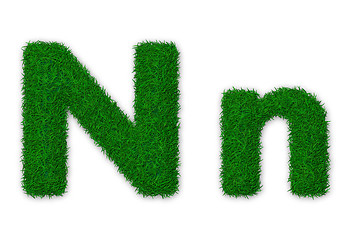 Image showing Grassy letter N