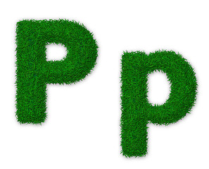 Image showing Grassy letter P