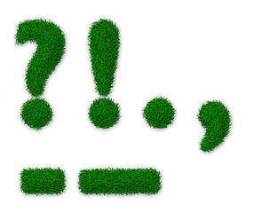 Image showing Grassy punctuation