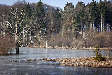Image showing frozen lake