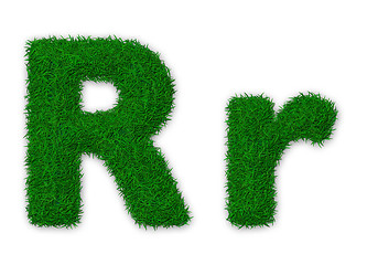 Image showing Grassy letter R