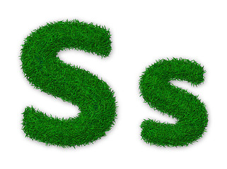 Image showing Grassy letter S