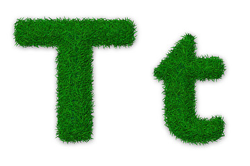Image showing Grassy letter T