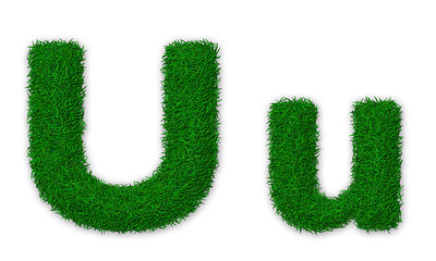Image showing Grassy letter U
