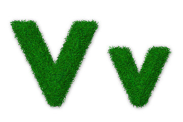 Image showing Grassy letter V