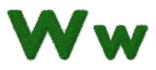 Image showing Grassy letter W