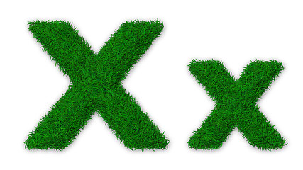 Image showing Grassy letter X