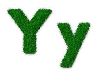 Image showing Grassy letter Y