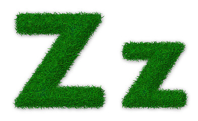 Image showing Grassy letter Z