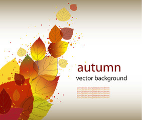Image showing autumn background, eps10