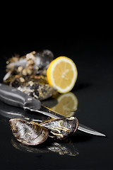 Image showing raw mussel food