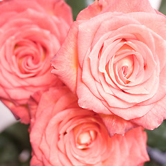 Image showing rose bouquet