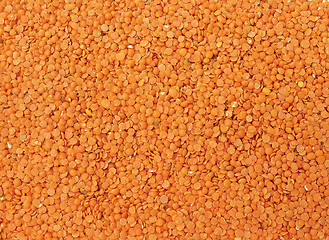 Image showing lentil background