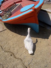 Image showing Goose and boat