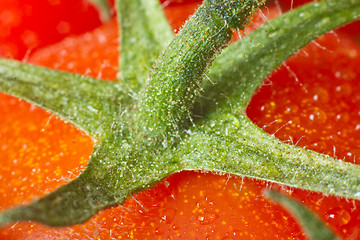 Image showing tomato closeup