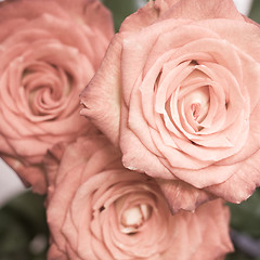 Image showing rose bouquet