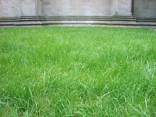 Image showing lawn