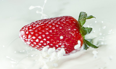 Image showing strawberry splashing into milk