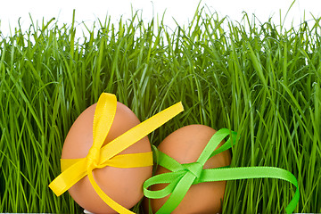 Image showing easter egg and grass