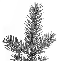 Image showing Christmas tree decoration