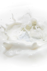 Image showing milk splash