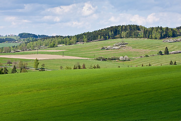 Image showing green field