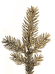 Image showing Christmas tree decoration