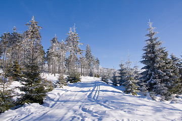 Image showing fresh snow in the mountains