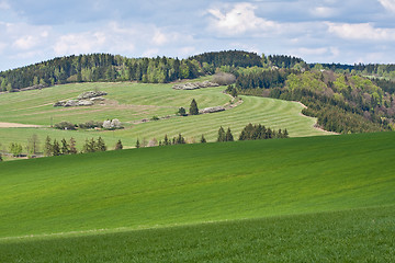 Image showing green field