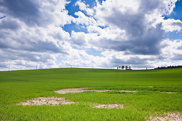 Image showing green field